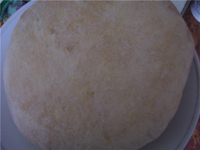 Pane di grano a lunga fermentazione (forno)