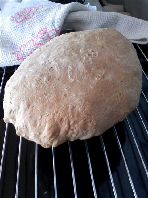 Pane di grano a lunga fermentazione (forno)