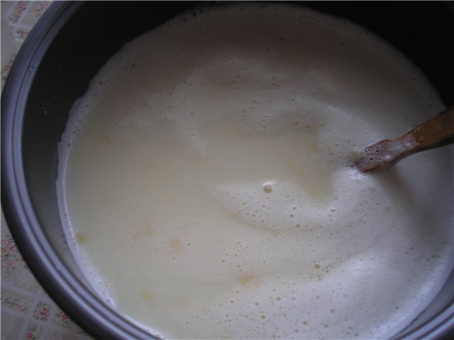 Tofu - curd ng bean