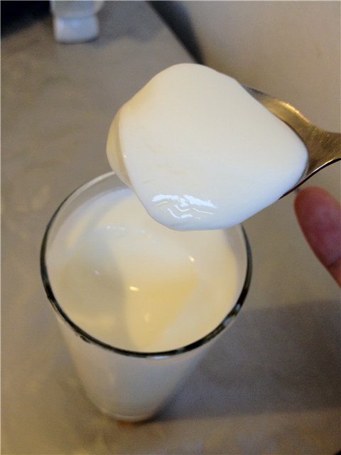 Yoghurt maker - selection, reviews, questions about operation (1)