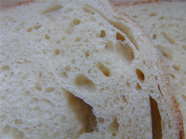 Pane gastronomico (macchina per il pane)