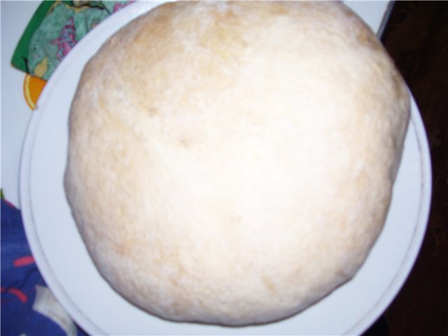 Pane di grano a lunga fermentazione (forno)