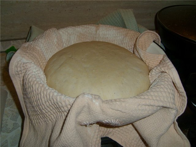 Pane di Como (Pane di Como) al forno (da non confondere con Pane di Come Antico)