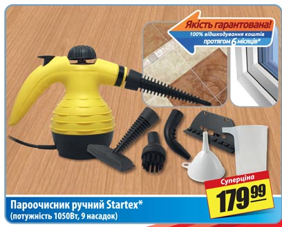 Steam cleaner (steam generator)