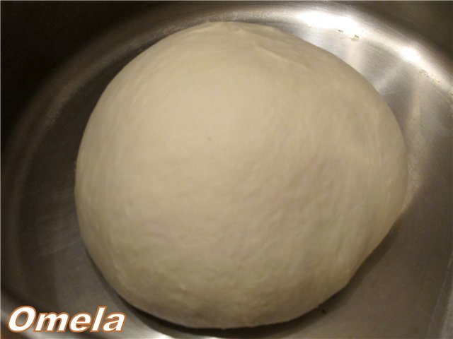 Pane di grano a lunga fermentazione (forno)