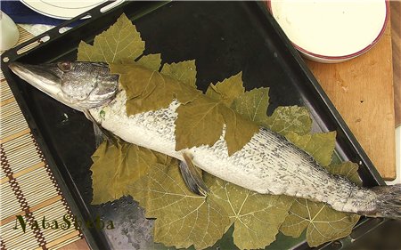 Lucio relleno en hojas de parra de la película Ognivo