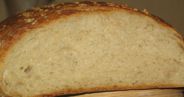 Sourdough trên nho