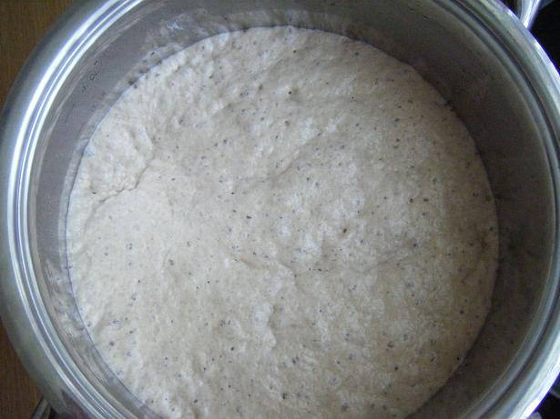 Pâine de grâu fermentată lung (cuptor)