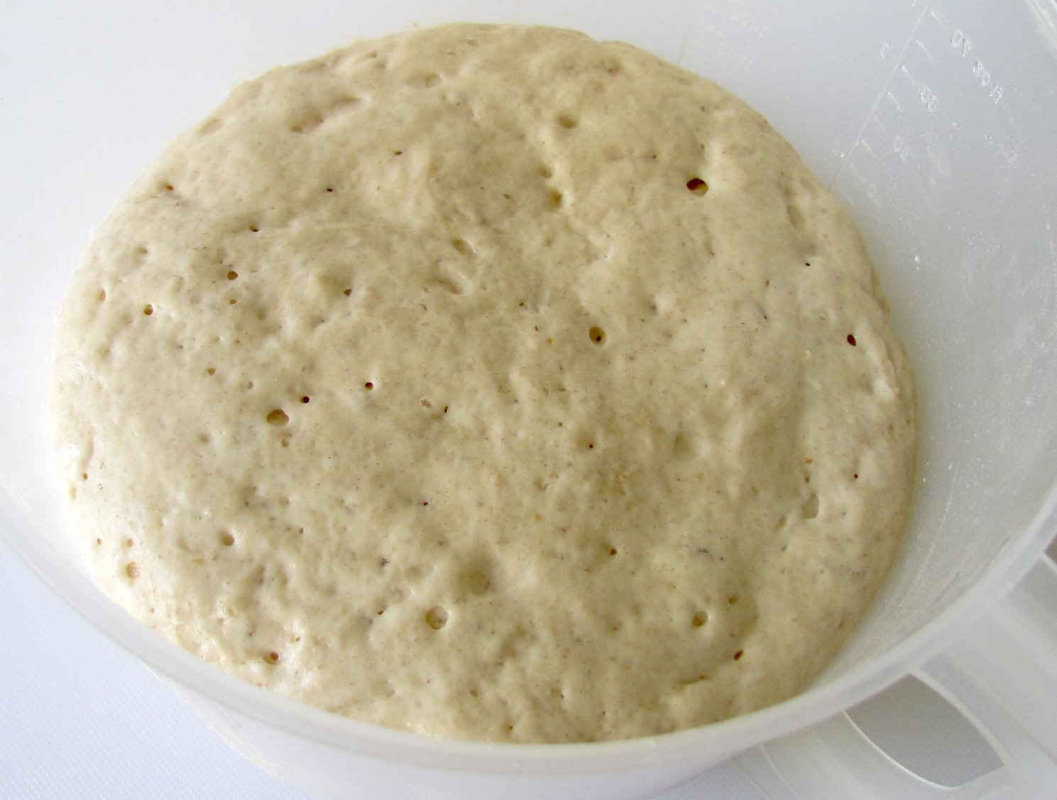 Sourdough pumpkin bread in the oven