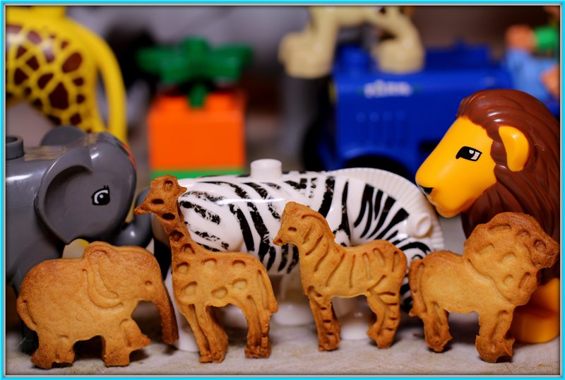 Biscotti per bambini "Zoo"