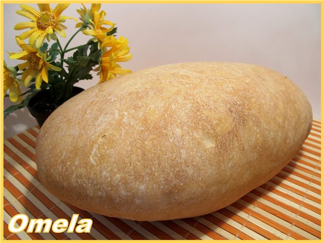 Pane di grano a lunga fermentazione (forno)