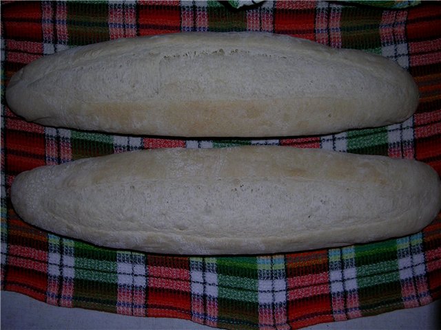 Flutes Ganacho (forno)