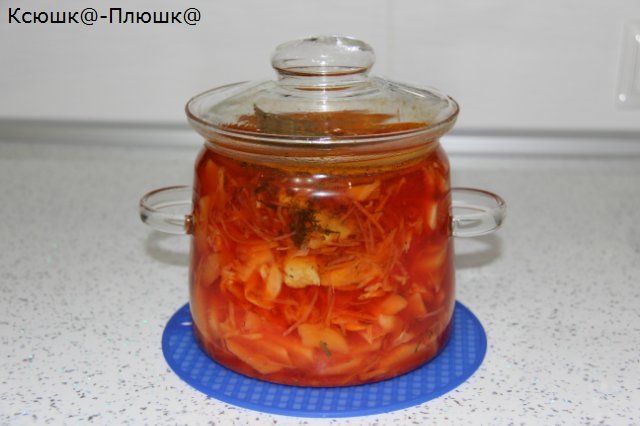 Borscht หรือหลักสูตรแรกใน airfryer (Airfryer Brand 35128)