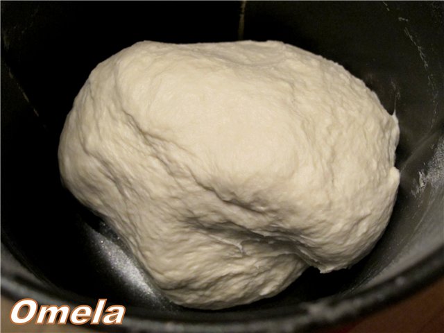 Pane di grano a lunga fermentazione (forno)