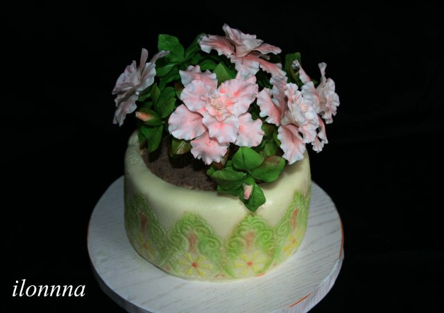 Torte di fiori