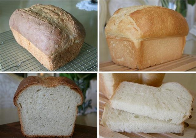 White Mountain Bread (Beth Hensperger) (oven)