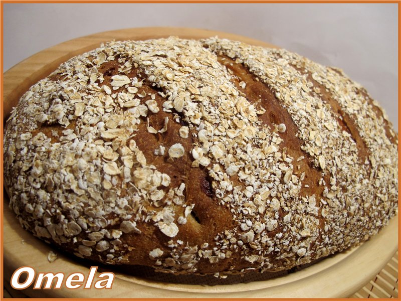 Pane integrale con farina d'avena e albicocche secche (R. Bertine)