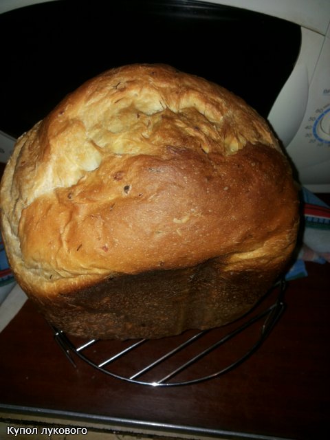 Pane alla cipolla e aneto (macchina per il pane)