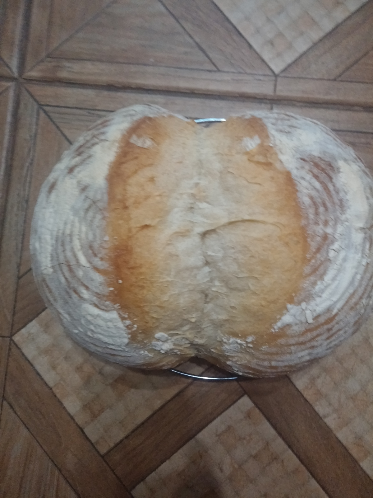 Pane all'erba medica