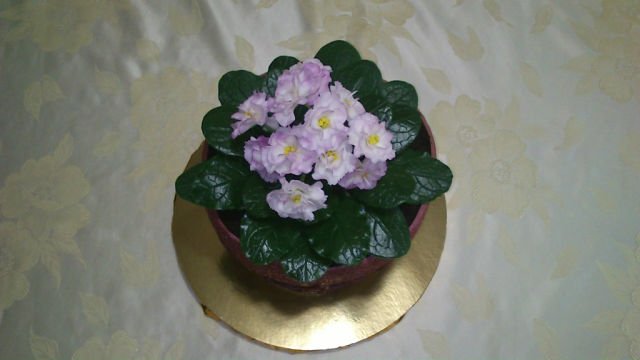 Mga cake ng bulaklak