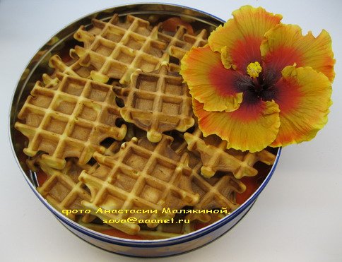 Waffle - ricette per una piastra per waffle