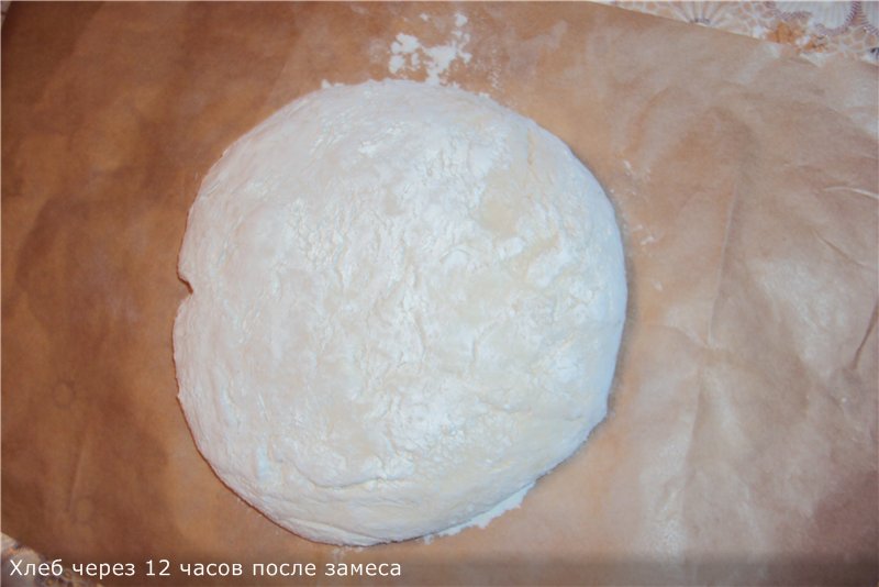 Ciabatta (không có hàng loạt)