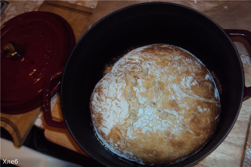 Ciabatta (không có hàng loạt)