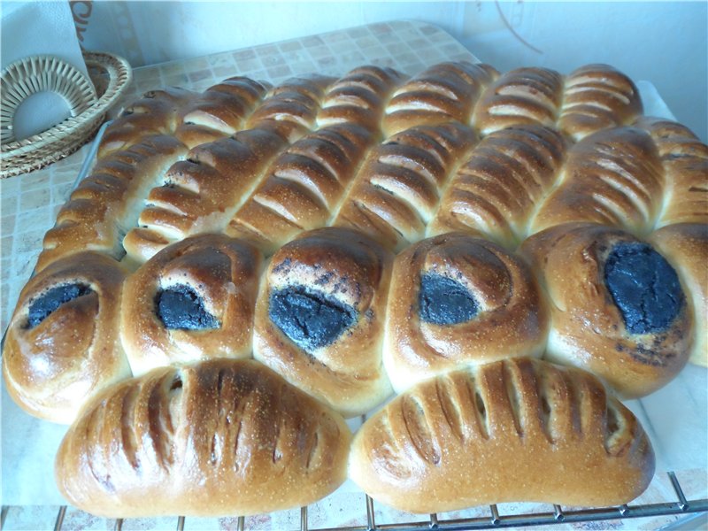 Tekuté droždí na bázi ovoce, zeleniny, bylin, čaje ...