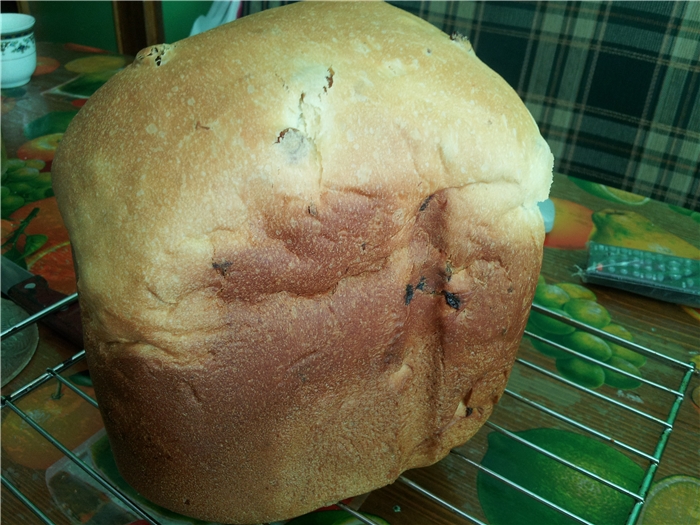 Kulich Royal bummer in a bread maker