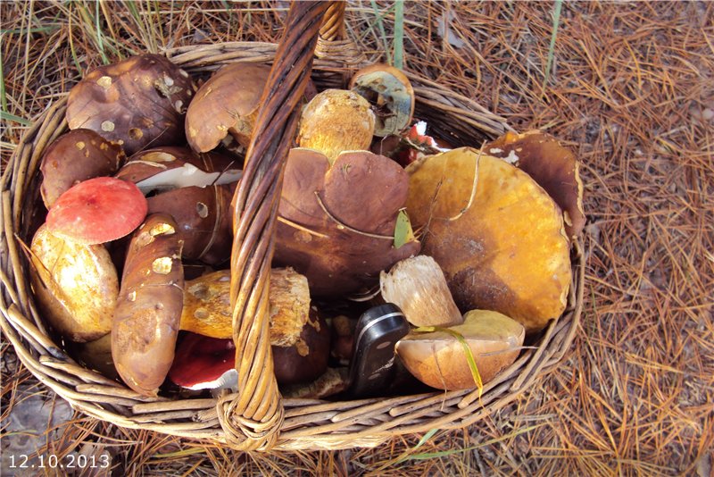 Bolets de patata