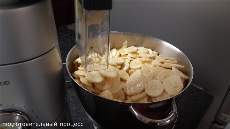 Essiccatore elettrico Ezidri Snackmaker