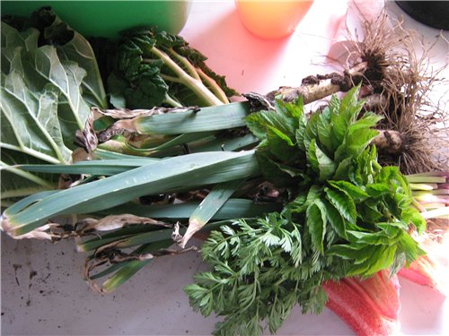 Zuppa di cavolo verde Primavera