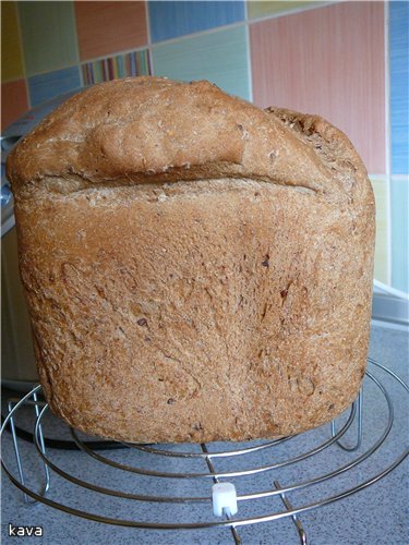 Pane alla contadina con spugna in una macchina per il pane