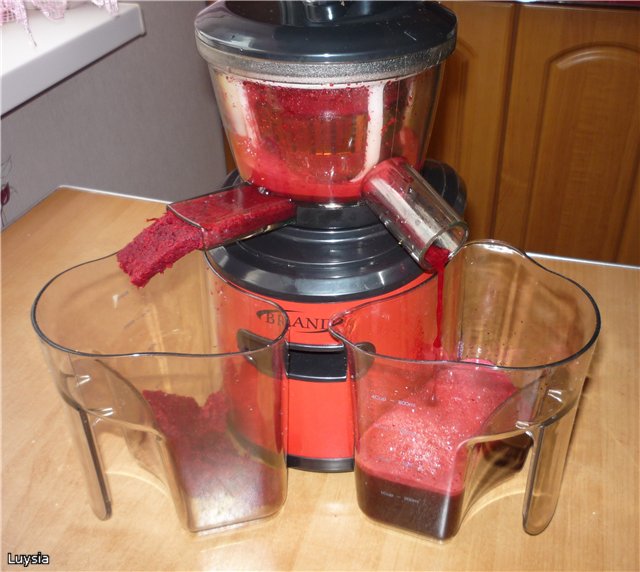 Auger juicer Brand 9100