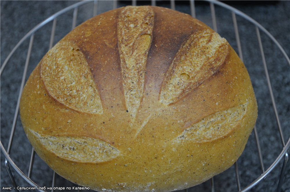 Rustic bread on dough according to Kalvel (oven)