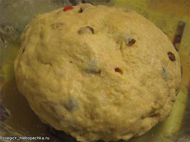 Kulich Tender con kumquat confitado