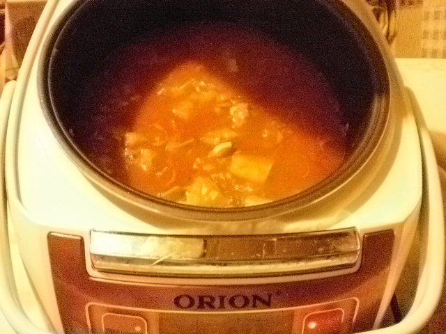 Multicooker Orion OR-MT01