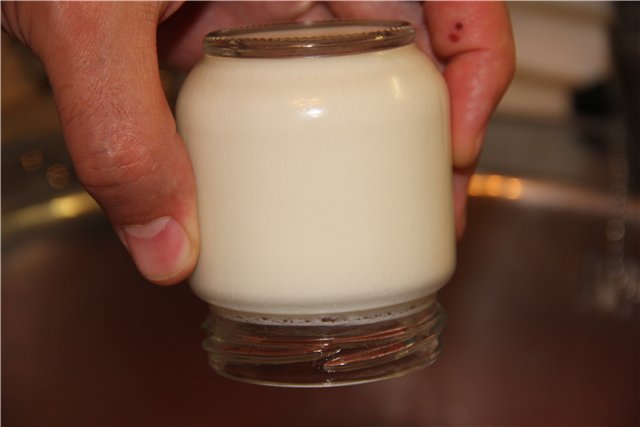 Yogurt maker: ricette, domande, risposte, problemi ...