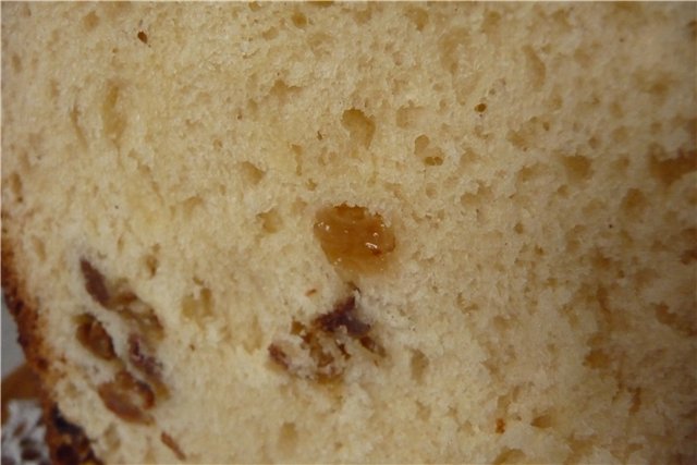 Kulich with Myasoedovskaya in the oven (master class)