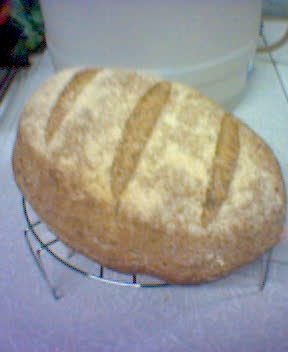 Pan de masa fermentada.