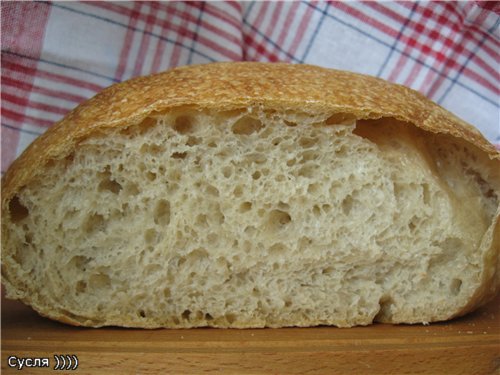 Ciabatta, Peter Reinhart (puliszkán)