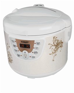 Choosing a slow cooker, rice cooker (1)