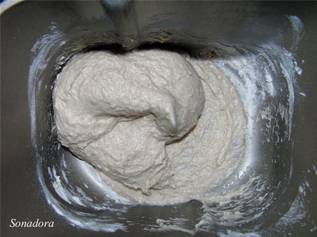 Pane integrale con acqua gassata (metodo della spugna)