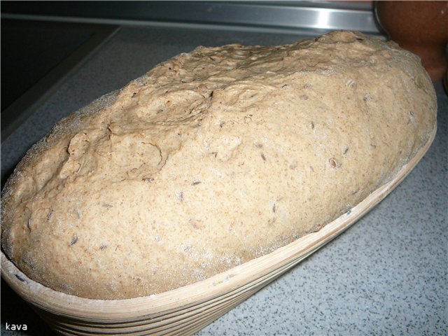 Pane alla contadina con spugna in una macchina per il pane