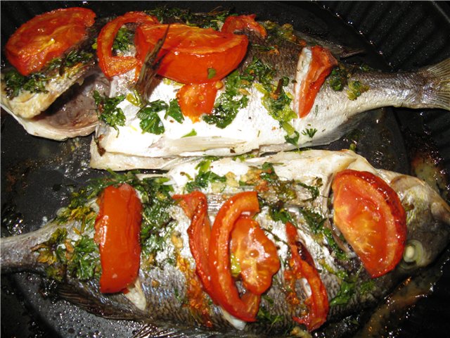 Dorada with spices in Italian