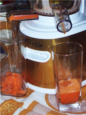 Auger juicer Brand 9100