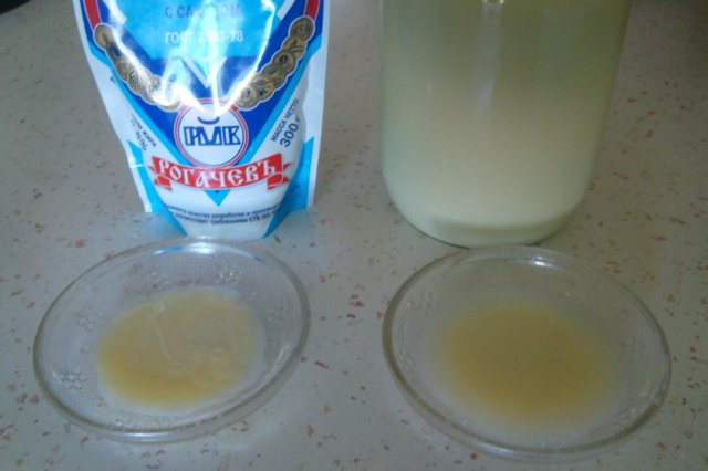 Homemade condensed milk