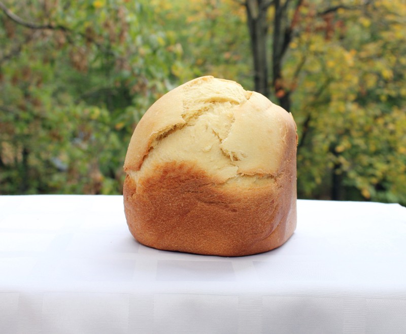 Pane viennese di Richard Bertinet in una macchina per il pane