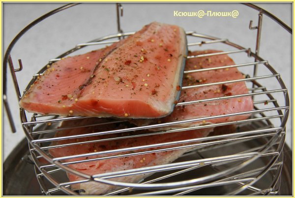 Koud gerookte roze zalm (Brand 6060 smokehouse)