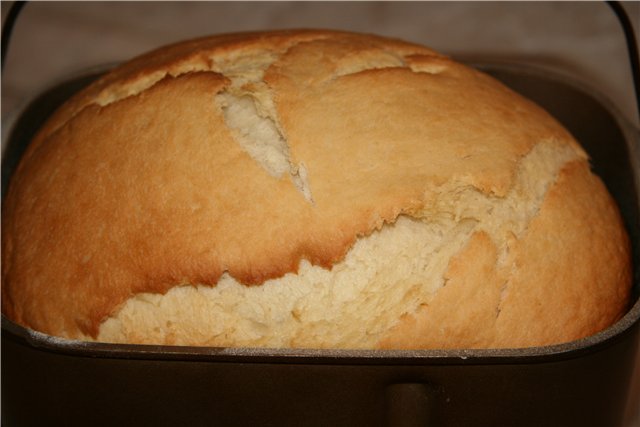 Pagnotta di cagliata in una macchina per il pane